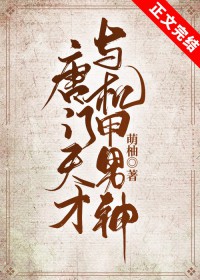 唐门天才与机甲少年